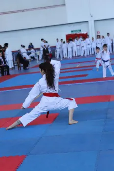 Circuito Open Nacional de Karate