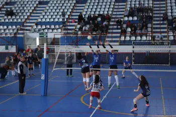 Citadino de Voleibol 2019