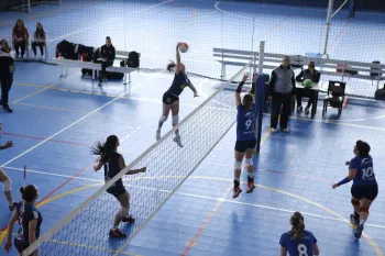 Citadino de Voleibol 2019