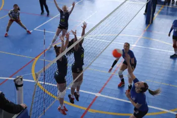 Citadino de Voleibol 2019