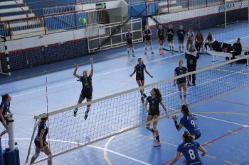 Citadino de Voleibol 2019