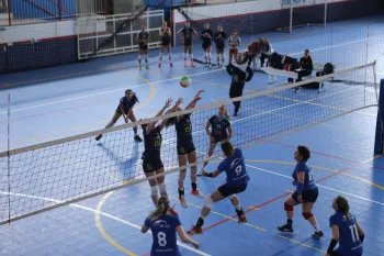 Citadino de Voleibol 2019