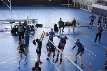 Citadino de Voleibol 2019