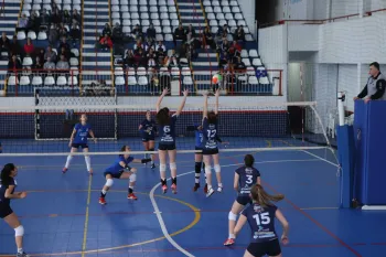 Citadino de Voleibol 2019