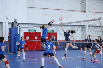 Citadino de Voleibol 2019