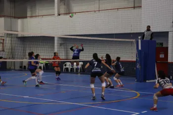 Citadino de Voleibol 2019