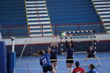 Citadino de Voleibol 2019