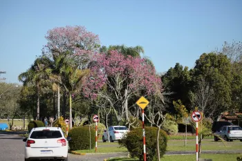 Final de Semana - Sede Campestre