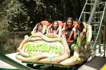 Debutantes Dorenses 2018 - Viagem para Gramado