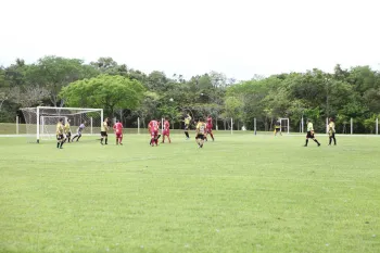 Jogo Festivo - Amigos de Quarta