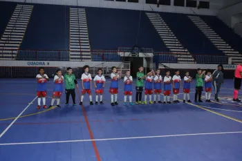 Liga Gaúcha de Futsal