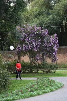 Final de Semana - Sede Campestre