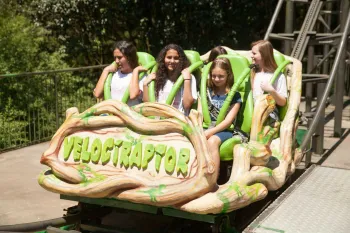 Viagem para Serra Gaúcha - Debutantes 2019