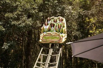 Viagem para Serra Gaúcha - Debutantes 2019