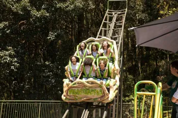 Viagem para Serra Gaúcha - Debutantes 2019