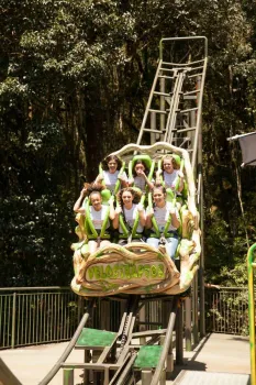 Viagem para Serra Gaúcha - Debutantes 2019