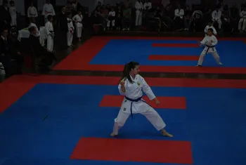 torneiokarate