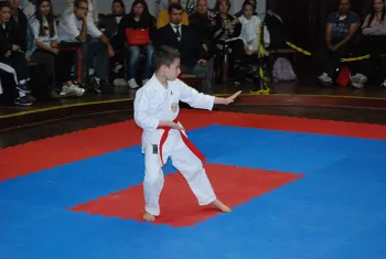 torneiokarate