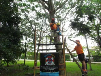 Foto: Clube Dores