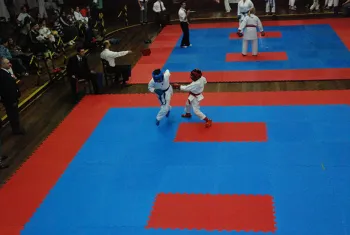 torneiokarate