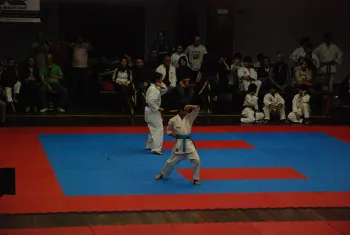 torneiokarate