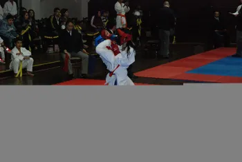 torneiokarate