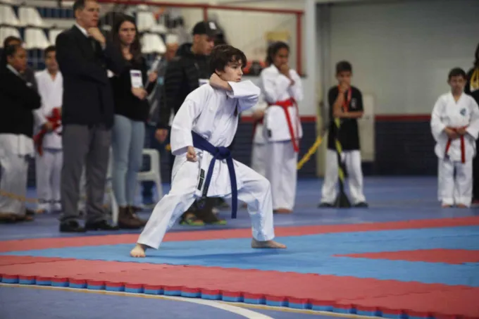 Dores Open Internacional de Karate